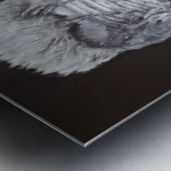 2592310 :: Brushed Metal Print