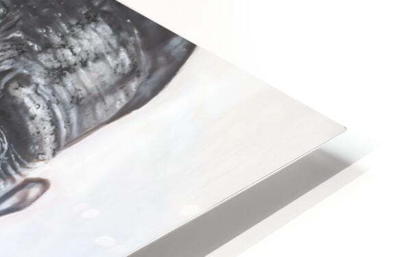 2438626 :: HD Sublimation Metal Print