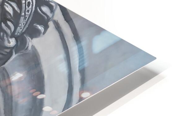 2438989 :: HD Sublimation Metal Print