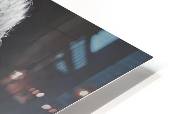 2592310 :: HD Sublimation Metal Print